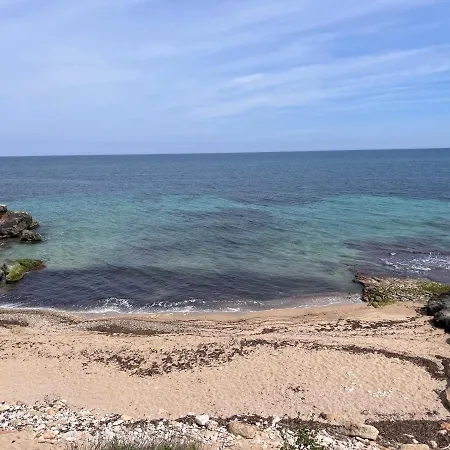 Luxury 11 * בארי