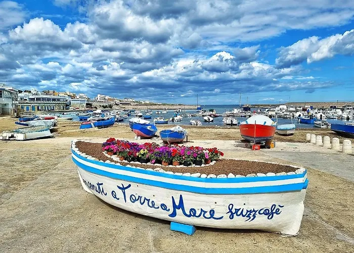 Luxury 11 * בארי